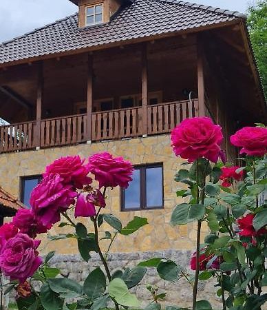 Rankovi Konaci Villa Zlatibor Ngoại thất bức ảnh